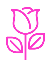 Lavender/Purple Rose Meanings
