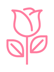 Pink Rose Meanings