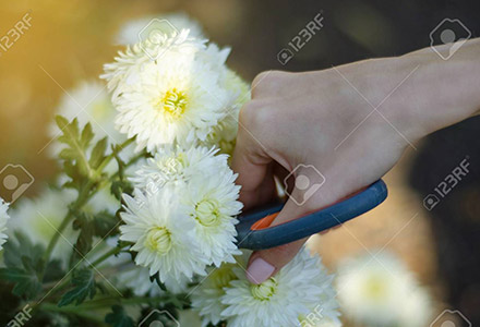 Prepare The Vase Prepare The Vase